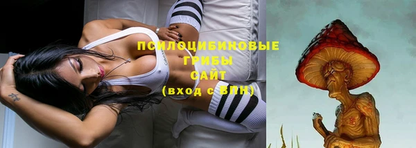 спайс Абаза