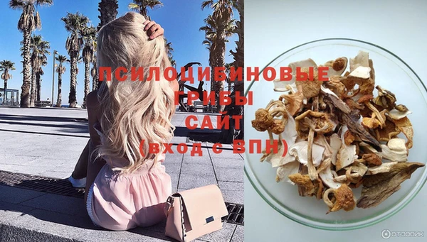 2c-b Абинск