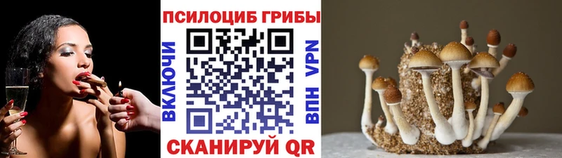 Псилоцибиновые грибы Magic Shrooms  купить   Шебекино 